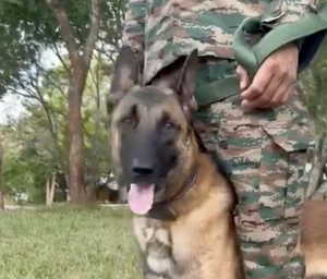 Exercise Mitra Shakti – 2024: Meet Zac, the canine commando in India-Sri Lanka army drills