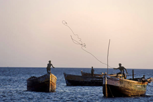 Indian fisherman killed in Sri Lankan navy vessel collision, New Delhi summons Colombo’s envoy to lodge protest